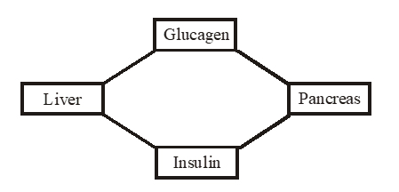 Worksheet for chapter-7 Control