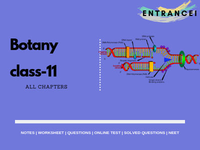Botany Class 11th Notes & MCQ for NEET | Physics Wallah