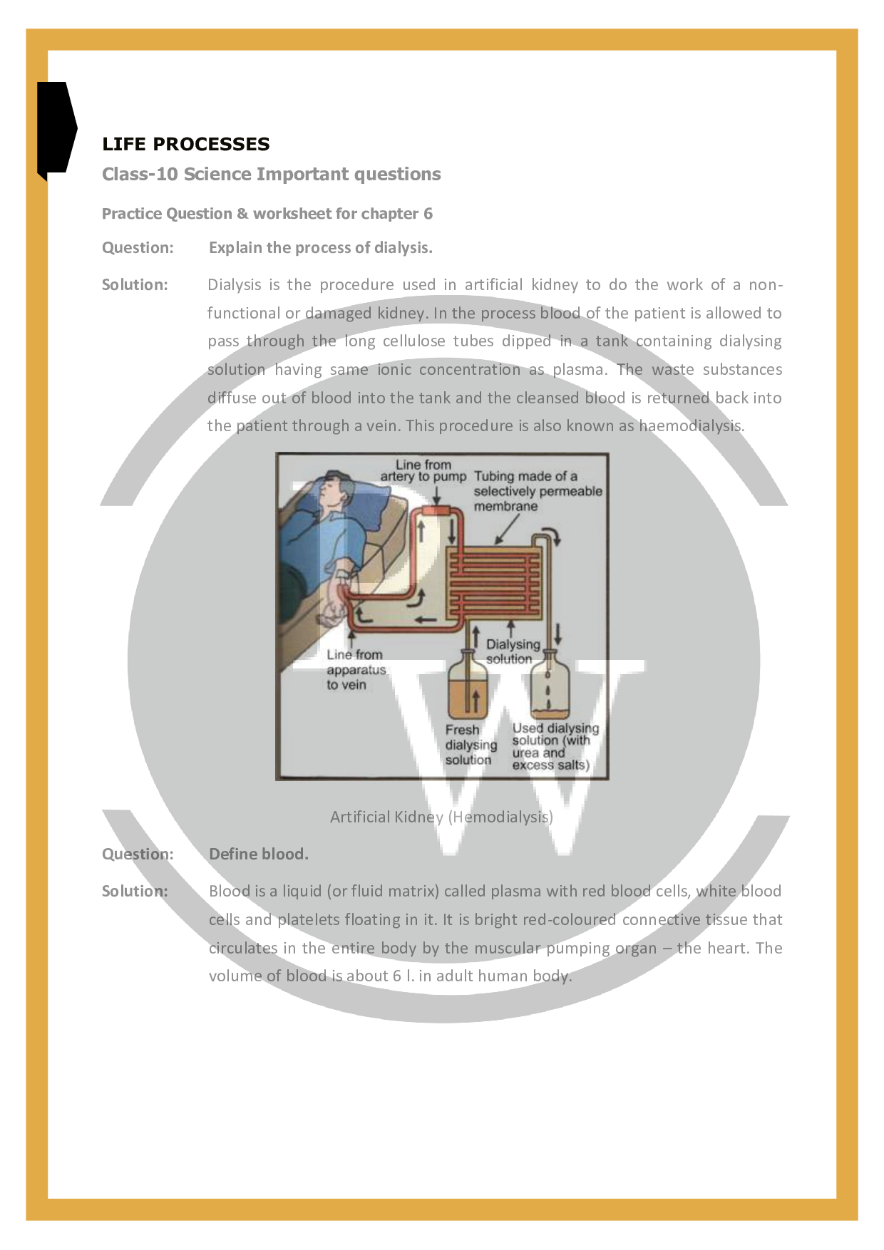 Important questions for CBSE class 10 science chapter 6 Life Processes | PW