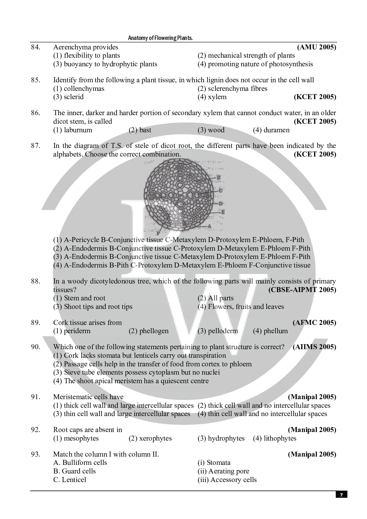 Anatomy of flowering plant MCQ for NEET Biology