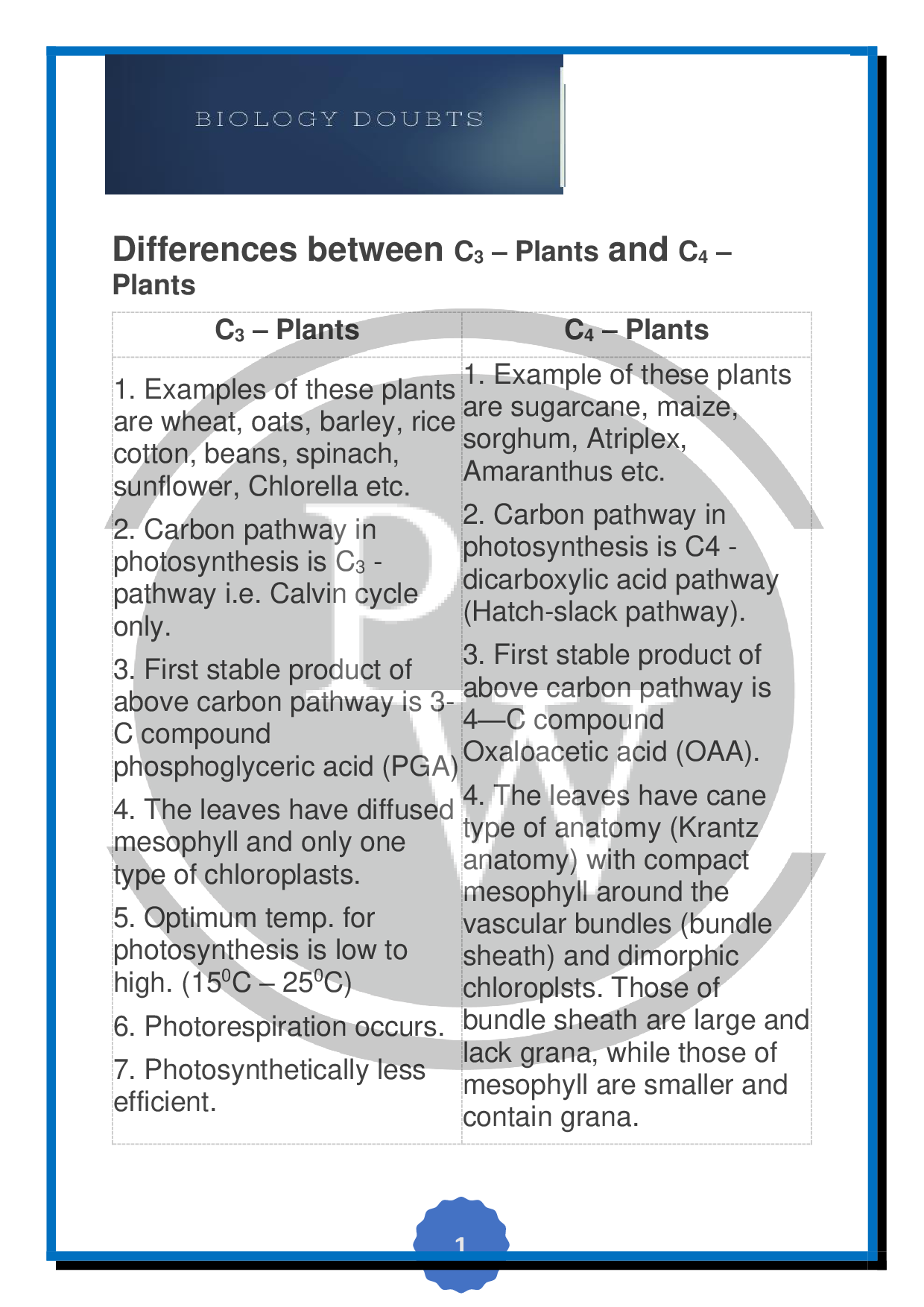 What is the difference between Cam C3 and C4 plants? |Physics Wallah