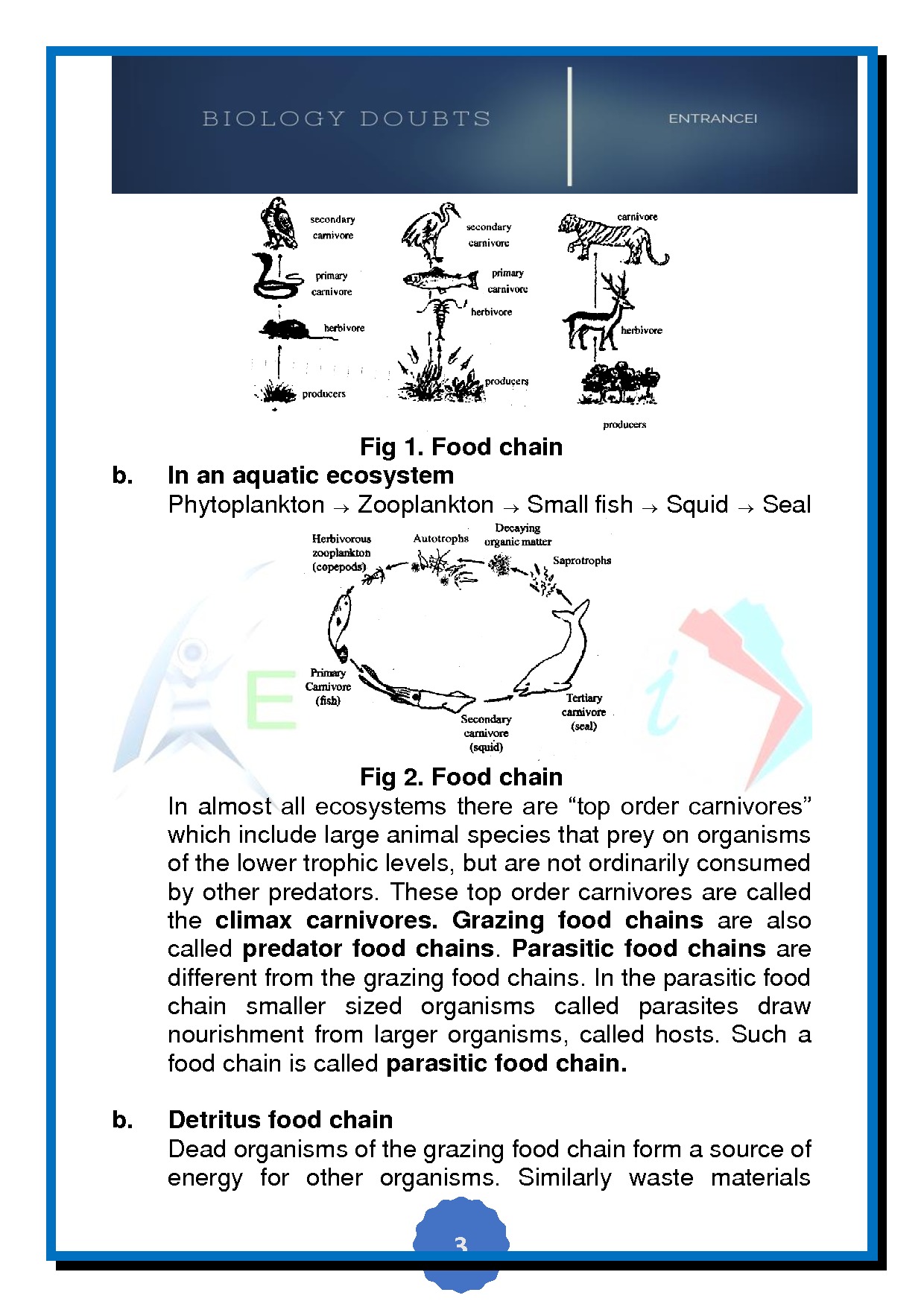 How does the food chain work? Entrancei