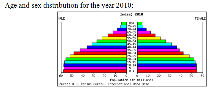 Population Pyramid Class 8 Social Science | PW