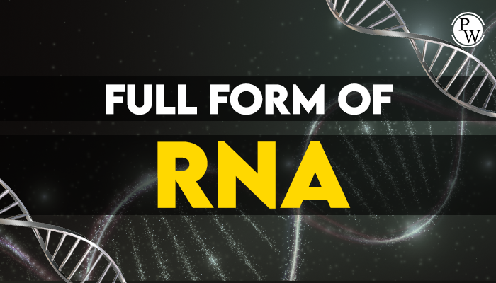 What is The Full Form of RNA ? | Physics Wallah