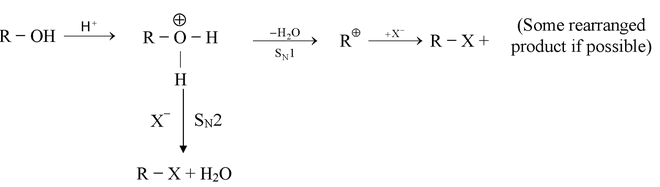 Methods Of Preparation Of Alkyl Halides For Class 12|PW