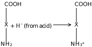 Characteristics Of Colloidal Solutions