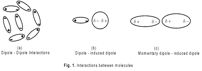 The Solid State