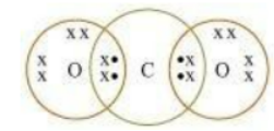 dot structure