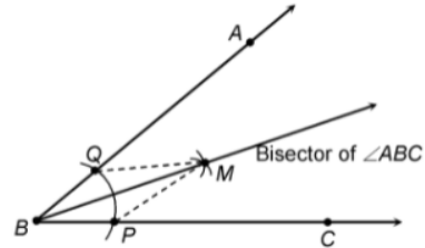 bisector