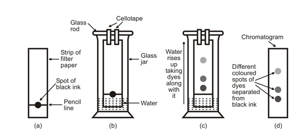 Chemistry02