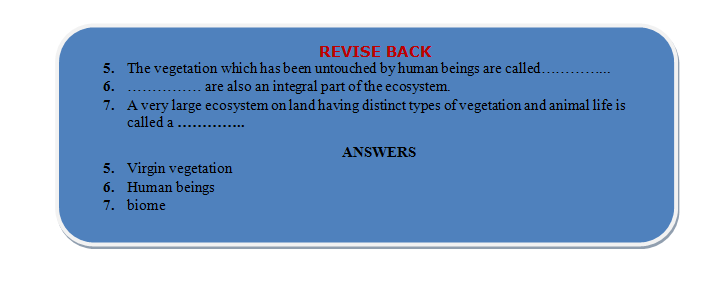 ecosystem revision