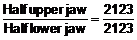dental formula permanent teeth