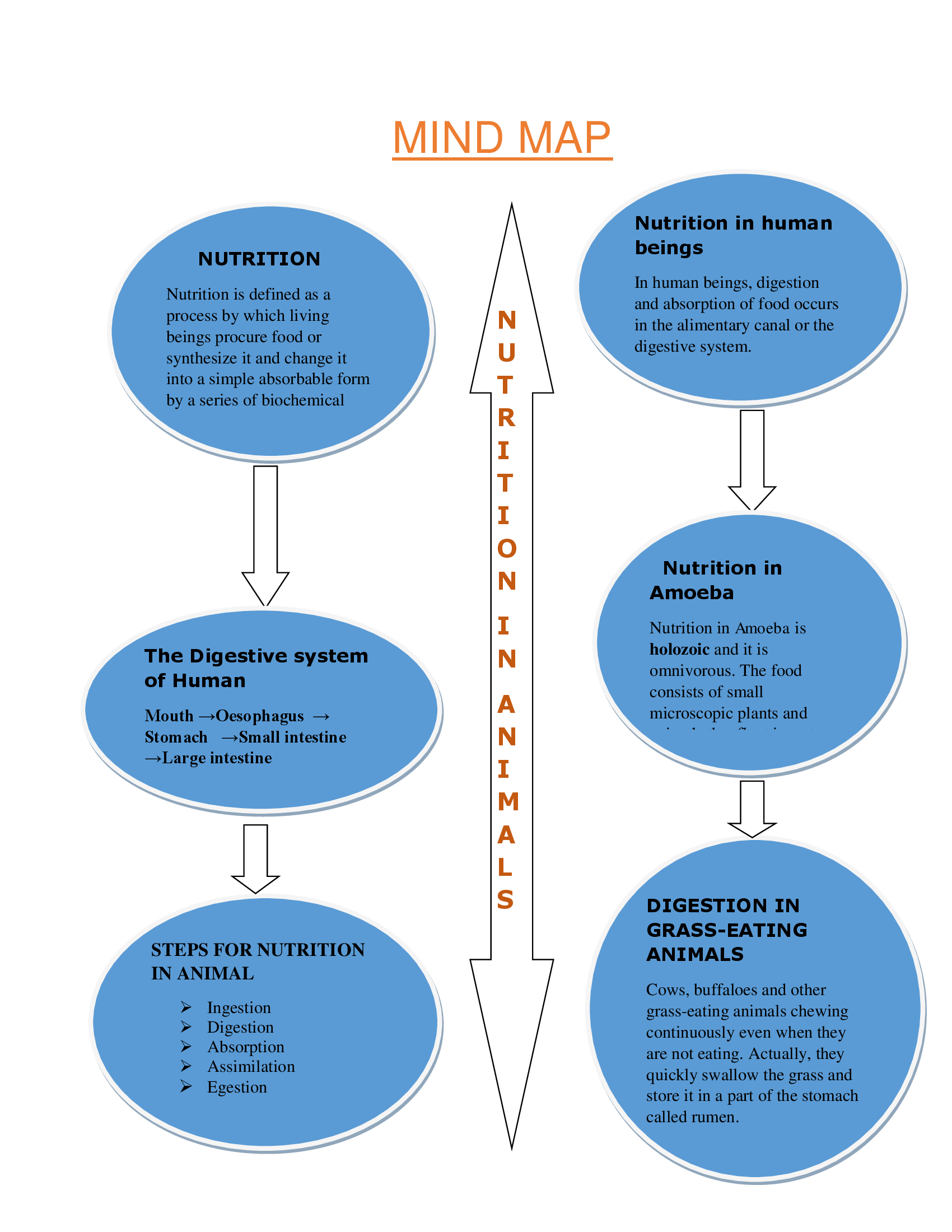 Nutrition Concept Map