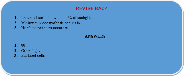 factors affecting photosynthesis revision