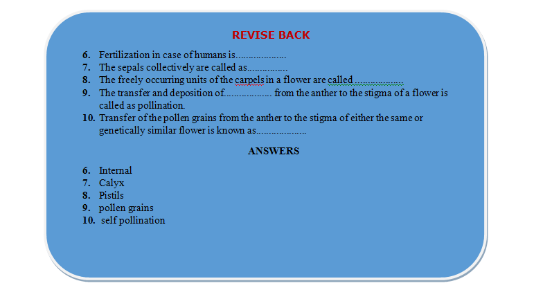 parts of flower revision