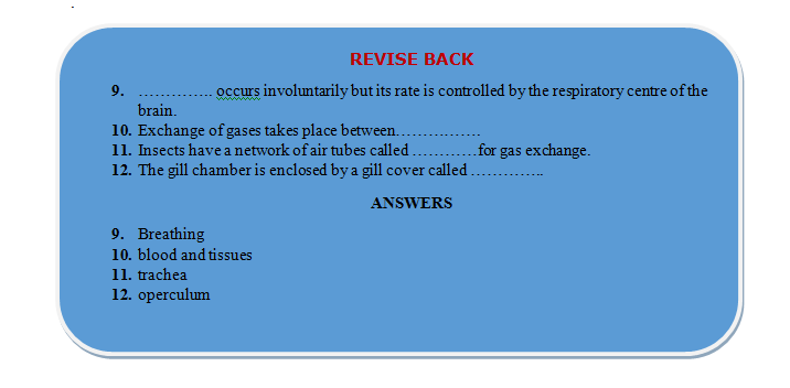 breathing revision
