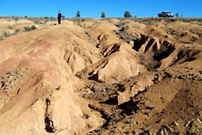 alluvial soils