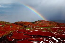 red and yellow soils