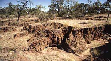 soil erosion
