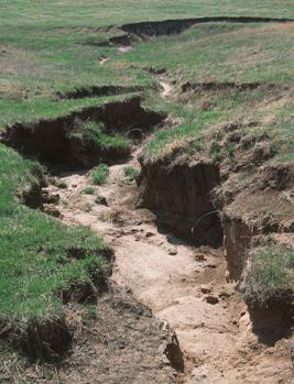 various types of soil erosion