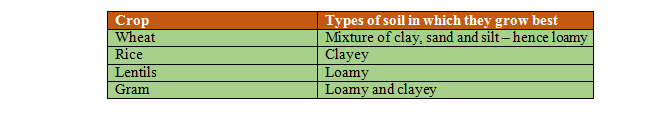 soil and crop